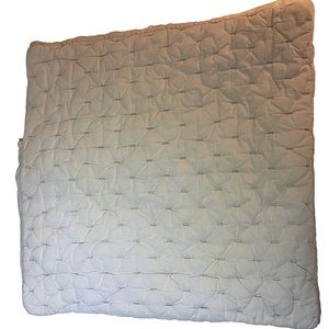 West Elm Euro Sham - thick textured stitched fabric, beige, 24”x24”